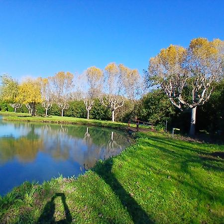 Domaine Du Lac De La Vallee La Roquette-sur-Siagne ภายนอก รูปภาพ