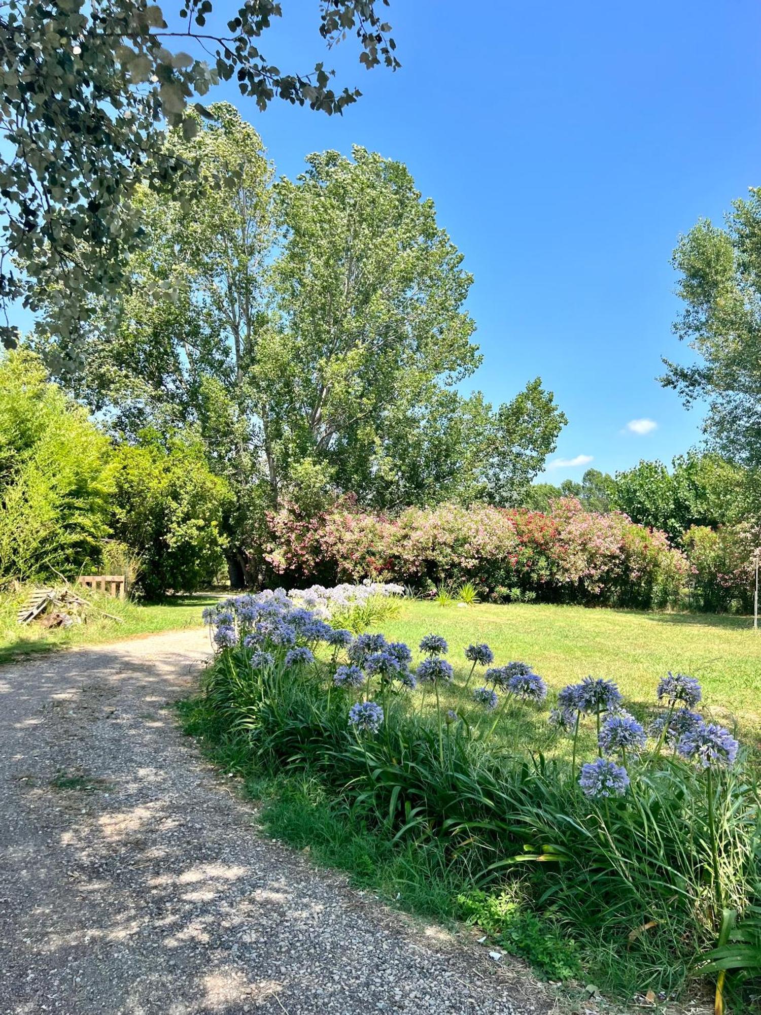 Domaine Du Lac De La Vallee La Roquette-sur-Siagne ภายนอก รูปภาพ